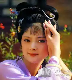87版薛宝钗张莉近照曝光斥枪毙传闻图
