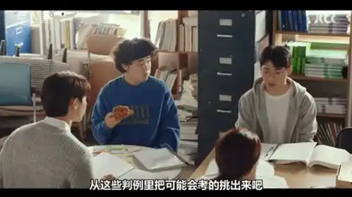 节奏利落剪辑凌厉,这剧看得有点爽