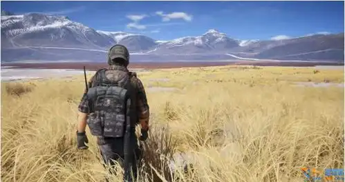 gpugems之植被渲染