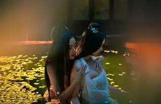 太子妃被禁广电是这样说的

