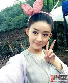赵丽颖为什么骂杨幂赵丽颖骂杨幂真相曝光
