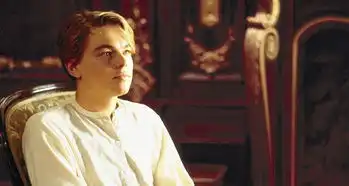 小李子很委屈老牌帅哥和黑人更被奥斯卡忽视