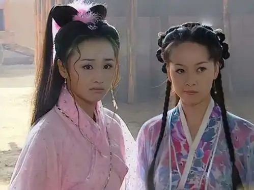 你小时候喜欢看哪些电视剧但没有翻拍
