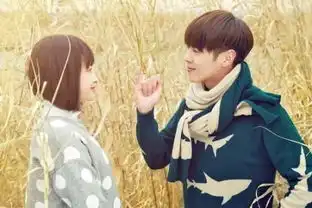 十五年等待候鸟剧照石小