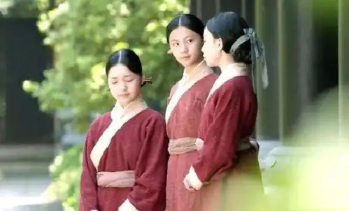 琅琊榜滑族是女儿国吗为何谋划复国大业的都是女子呢