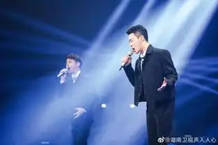 z世代的出现,给声入人心第二季带来了更多可能
