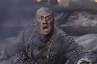 新亮剑收视夺冠金盛宇硬汉和尚受追捧
