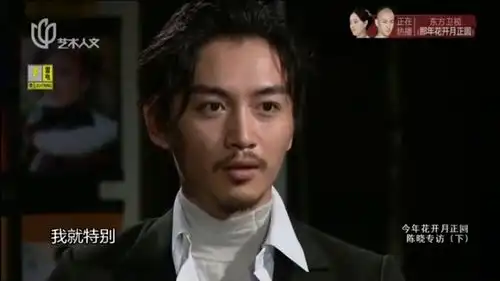 可凡倾听第一次吊威亚陈晓觉得很有趣每天飞过来飞过去
