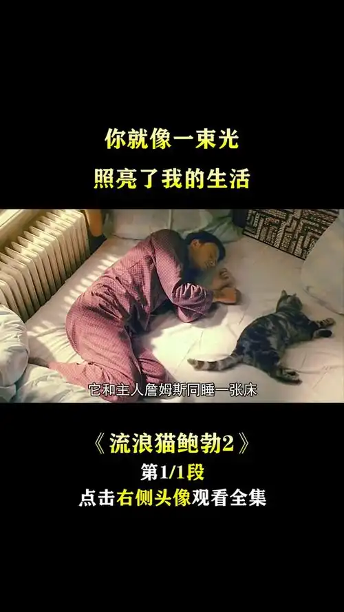 流浪猫鲍勃2定档电影流浪猫鲍勃2治愈系你就像一束阳光,照进我的生活