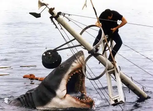 还敢说没有片子能吓到你狂暴凶狮带你感受久违的影院尖叫
