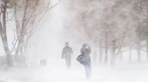 100kmh暴风来袭16000户断电,极寒将至,这些赶快准备好
