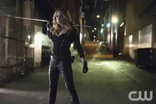 绿箭侠第二季第13集海量剧照恶魔继承者