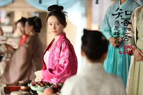 知否知否,应是绿肥红瘦图集
