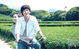 当电影作品沦为金融产品之后
