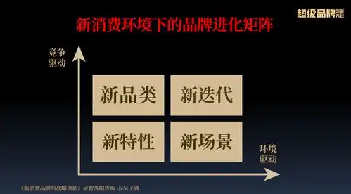 超级品牌战略专家吴子剑新消费品牌的战略创新超级品牌创新大会分享

