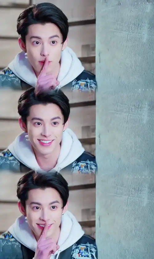 因为太喜欢王鹤棣去看了新流星花园