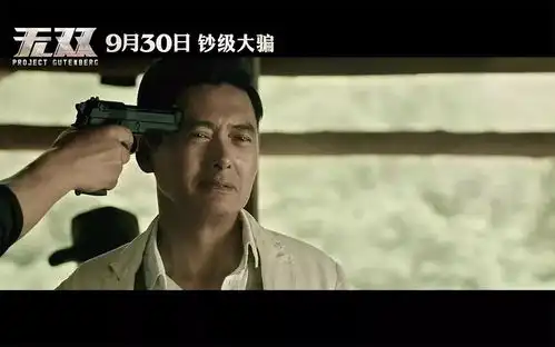 钞级大骗即将来袭无双
