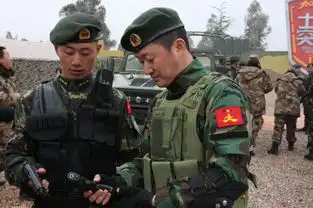 中国第一硬汉吴京情定谢楠甜蜜婚纱照曝光