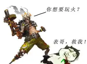 表情与斗图118压力测试开启守望先锋表情包奉上
