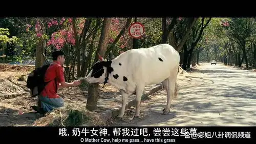 星爷都想翻拍的三傻大闹宝莱坞,让人潸然泪下的热血青春剧