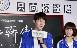 别那么骄傲什么时候在哪个台播出周几播出一周播出几集
