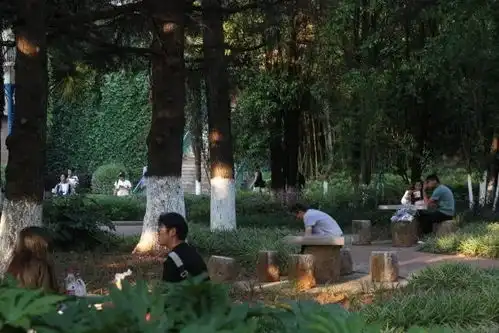 带你探秘云农专属快乐星球
