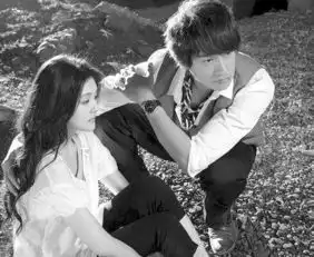 黄晓明何润东难救场泡沫之夏收视惨败
