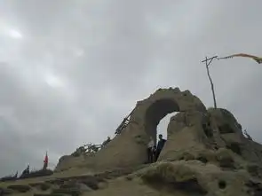 宁夏胡杨林塞上江南大西北自由行
