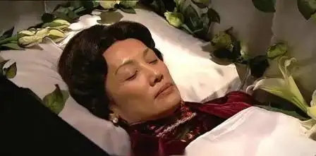 名媛望族钟家大太太顾心兰
