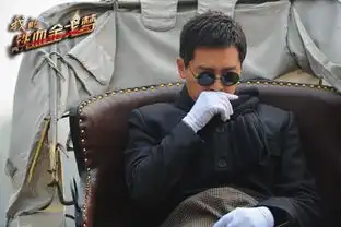 我的铁血金戈梦林继东变脸惊现捡洋落情节
