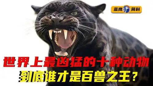 世界上最凶猛的十种动物你都知道哪些到底谁才是百兽之王
