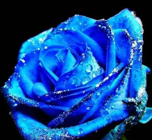 生日尾数看财运这些数字财气冲天,到老都不缺钱
