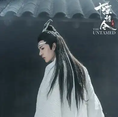 只要看过前几任仙督的所作所为,就会明白蓝湛要当仙督的苦心