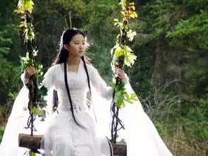 刘涛周迅刘亦菲杨幂金庸武侠世界的女侠们
