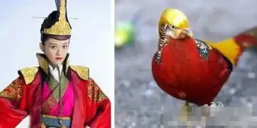 笑傲江湖定妆照遭吐槽818古装剧雷人穿帮镜头高清组图
