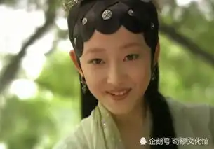 难怪新红楼梦被吐槽,不怪李少红,你看看红学家当初说了些啥
