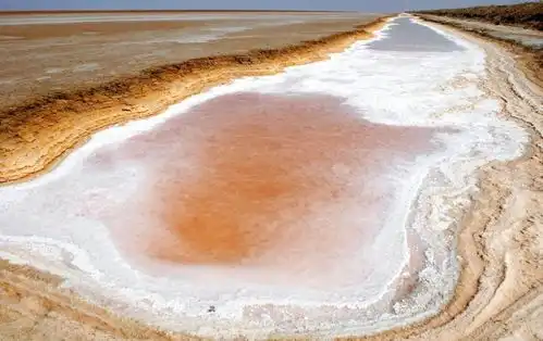 撒哈拉沙漠最大的盐湖,湖水是迷人的粉色,绵延七千多平方公里