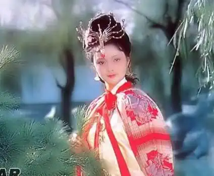 浓缩的石头记红楼梦前五回赏析

