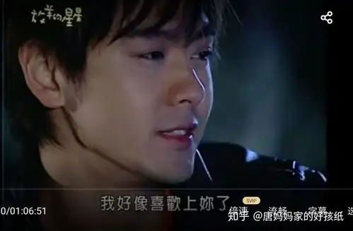 如何评价电视剧放羊的星星
