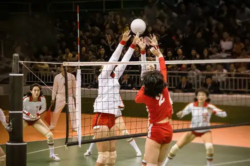 看完夺冠,我擦干眼泪写下这篇文章
