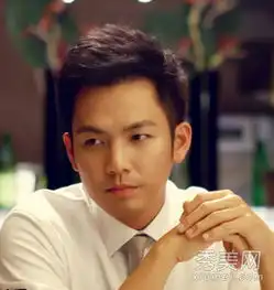 最美的时光钟汉良职场男士发型
