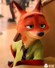 疯狂动物城引发宠物狐狸热,养它没那么容易
