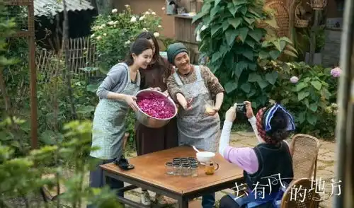 去西双版纳与郭麒麟冒险,还是去云南打卡刘亦菲同款跟着热剧去旅行
