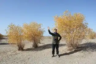 新增一系列图翁斐然这张照片有没有当年小嬴政的感觉
