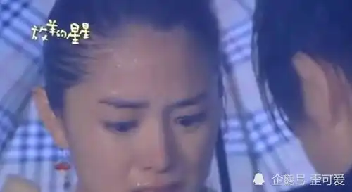 放羊的星星要翻拍童年回忆要被毁林志颖为其暖心发声
