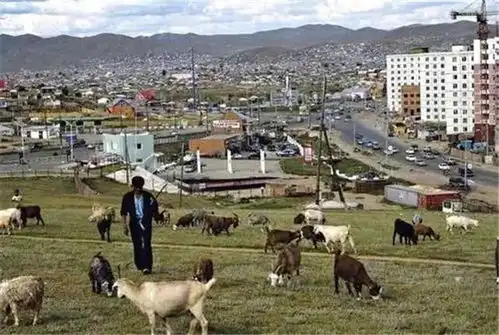 真实的蒙古人情况扎堆去首都,买不起房子,就住在蒙古包里