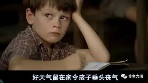 放牛班的春天池塘底看见百合花开