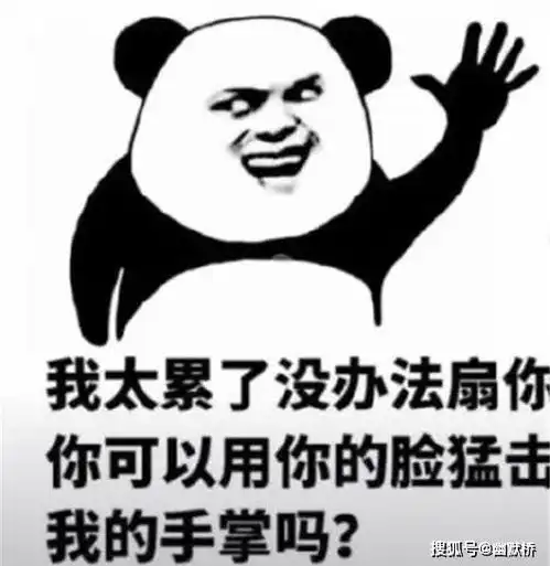 熊猫头怼人表情包雾散了,云飘了,你又开始叫嚣了