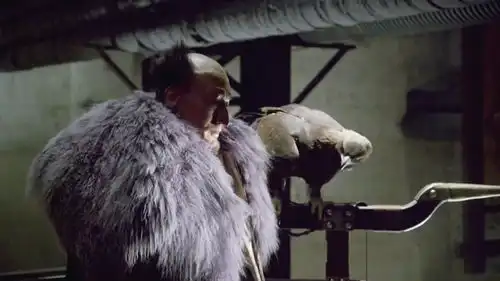 智取威虎山威虎山老八真的是搞笑担当,拉屎被人看着,生气了