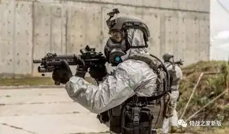 美媒美国退役特种兵转行做国际职业杀手被通缉